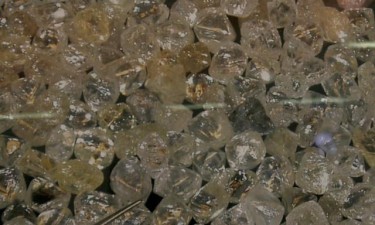 Nova Pauta Aduaneira já em vigor