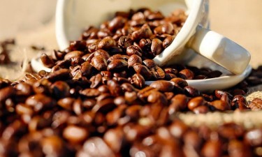 Novagrolider investe mais de 800 mil USD para processar café