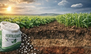 Preços dos fertilizantes sobem 30% em Angola 