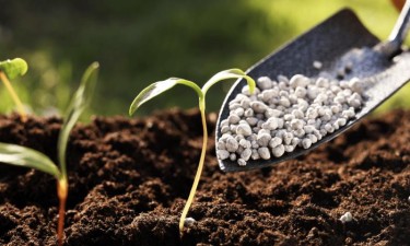 Fertilizantes sobem 45% e agravam pressão sobre agricultura