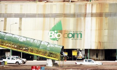 Biocom mantém-se nos “cuidados intensivos”