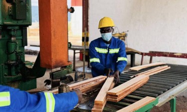 Governo volta a prorrogar campanha florestal até Dezembro