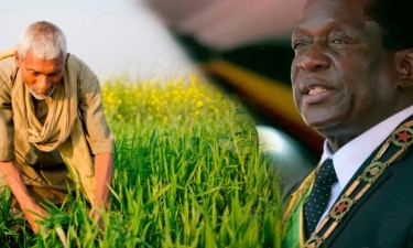 Zimbabué paga 521 milhões de dólares a agricultores brancos