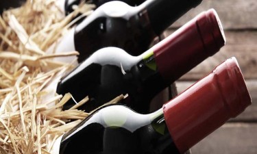 Importação de vinhos portugueses aumenta 55,2%