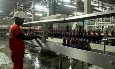 Tegma SU lança fábrica de batatas pré-congeladas em Malanje