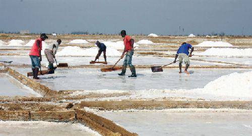 Angola quer produzir 670 mil toneladas de sal