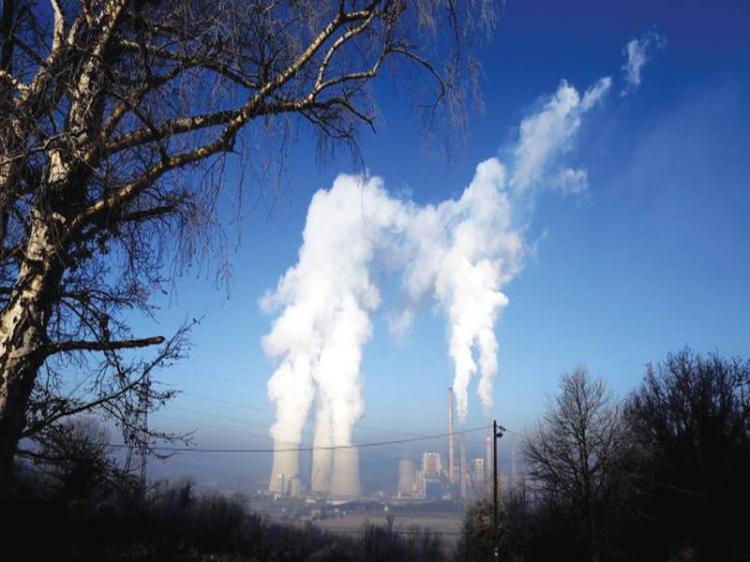 Organizações vão reduzir a zero emissões de gases poluentes