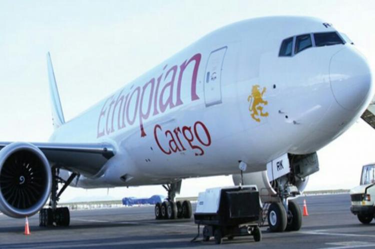 Angola rescinde contrato por uso indevido de voos