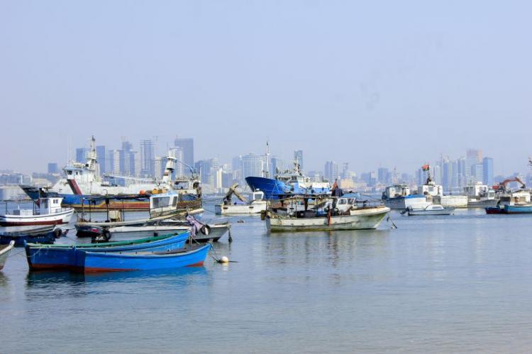 Governo investiga peixes mortos na Baia de Luanda 