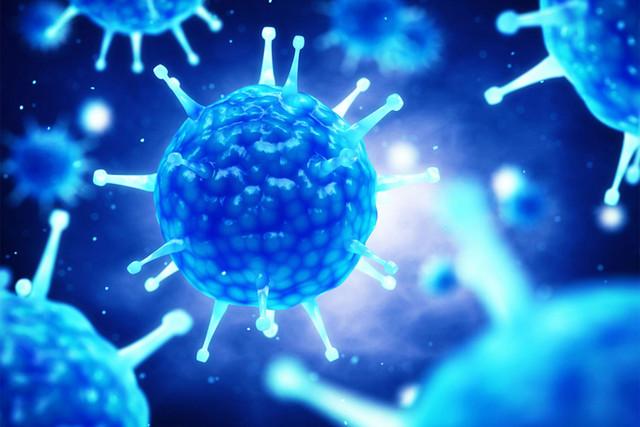 Vírus pode sobreviver 28 dias à temperatura ambiente