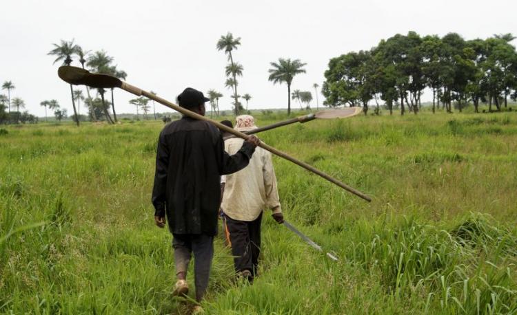 Angola vai regulamentar uso de fertilizantes na agricultura 