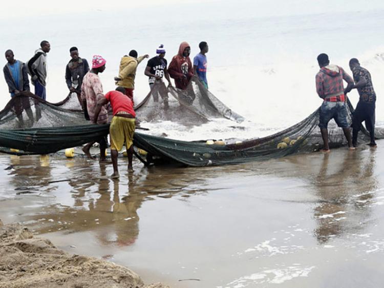 Poluição e pesca desordenada afectam piracema nos ecossistemas aquáticos de Angola