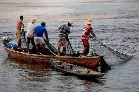 Falta de equipamentos de trabalho condiciona pescadores  