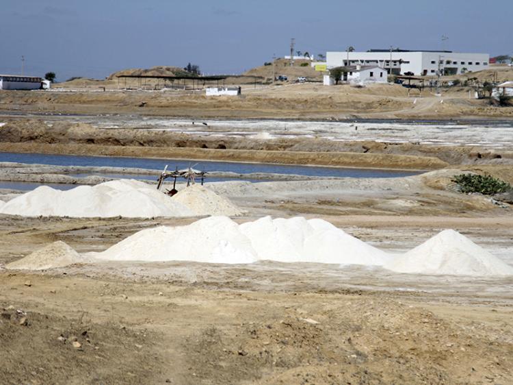 Produção de sal dispara 300% em seis anos e atinge 200 mil toneladas