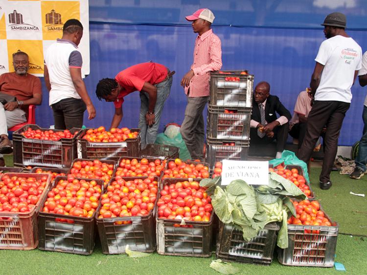 Comerciantes e produtores de Luanda subsistem, mas lançam ‘grito de socorro’ ao Governo 