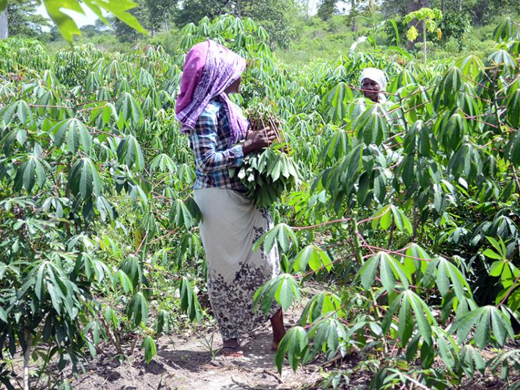 De mais de 98 biliões de kwanzas desde 2018 apenas 0,7% foram para agricultura, pesca e caça  