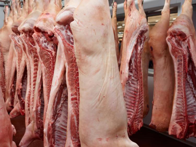 Importação da carne de porco aumenta 73% e do milho, quase 200%