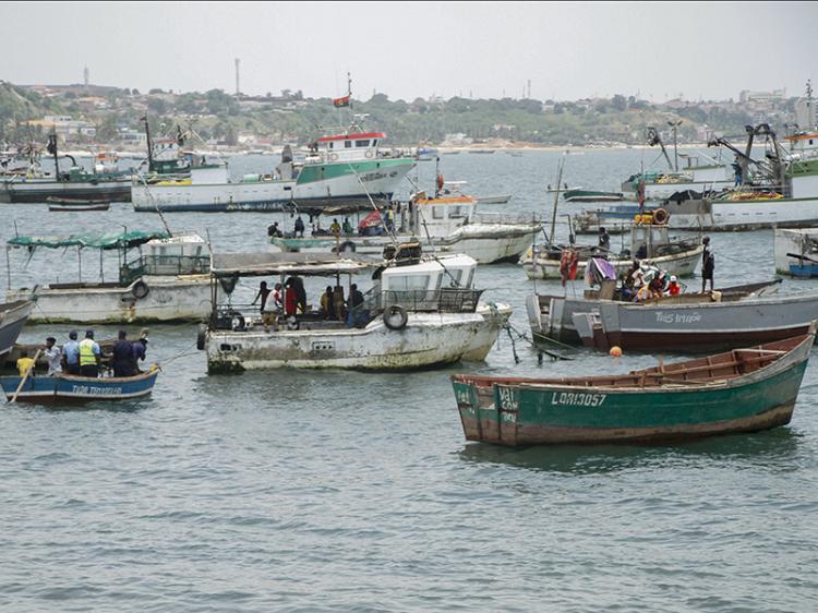 Fraca fiscalização, exportação descontrolada e aumento de arrastões levam à escassez de peixe