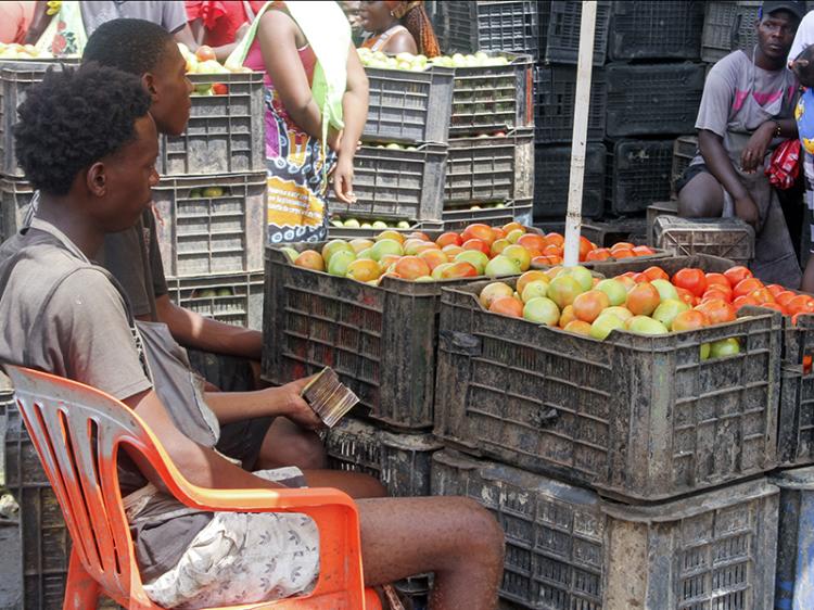 Preço do tomate dispara até 66% devido à escassez em Luanda Preço do tomate dispara até 66% devido à escassez em Luanda