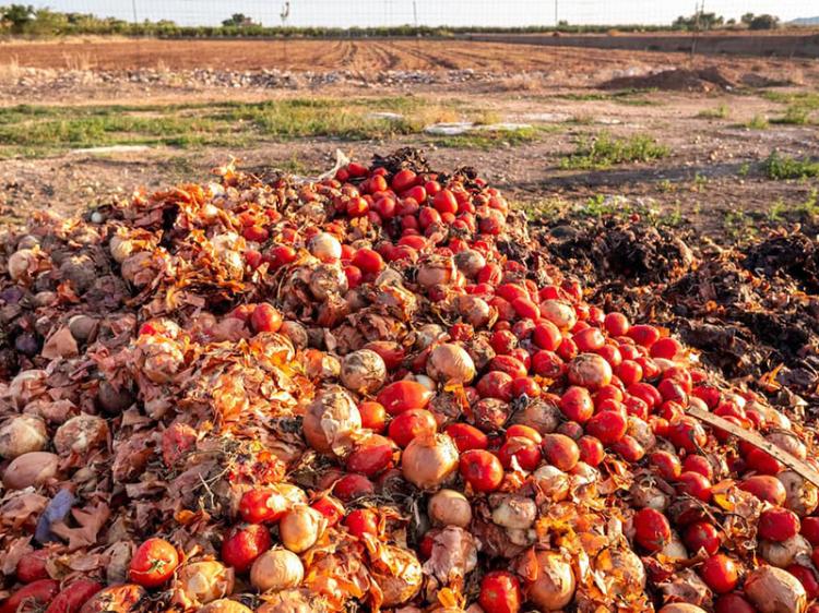 Lixo é o destino de toneladas de produtos agrícolas por falta de escoamento Lixo é o destino de toneladas de produtos agrícolas por falta de escoamento