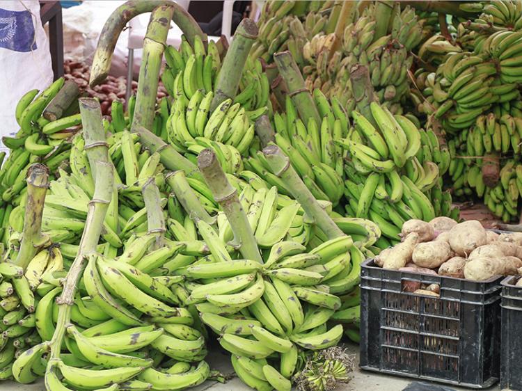 Falhas no escoamento e falta de incentivos “enfraquecem” exportação de produtos 