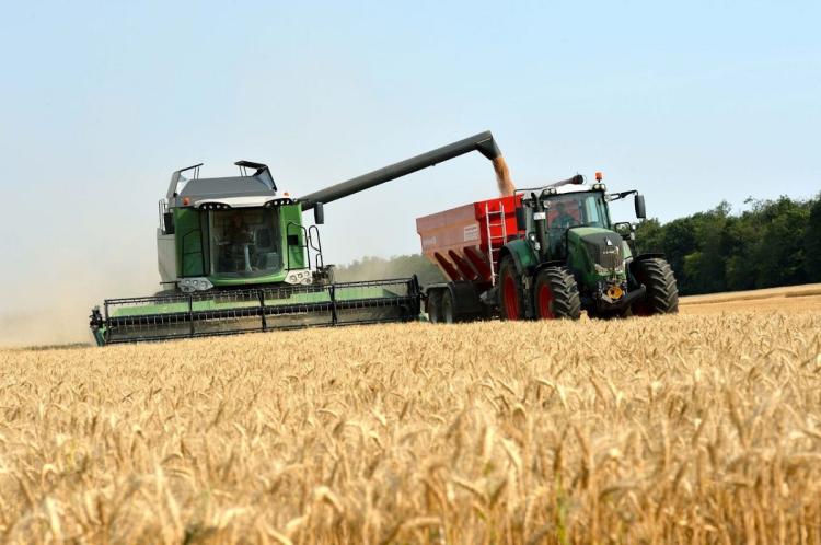 Mais de 130 toneladas de milho podem estragar-se por falta de escoamento  