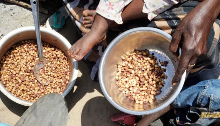 Angola entre os países com  alta insegurança alimentar e risco de acesso à água limpa 