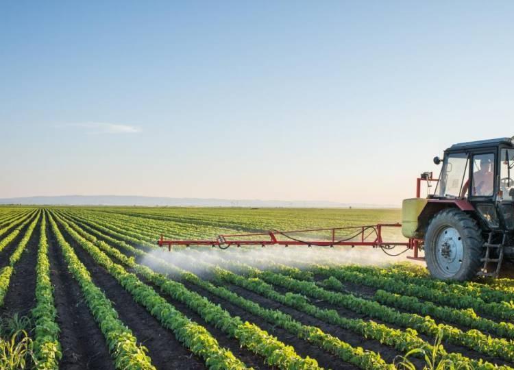 Inoperância de fábricas de processamento arrasta agricultores para o prejuízo