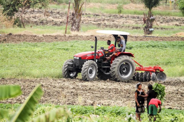 FAO aponta crescimento agrícola em Angola,  mas produtores questionam resultados no terreno