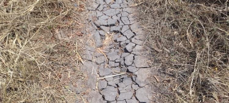 Irregularidade das chuvas eleva despesas até 94% por hectare e ameaça oferta alimentar