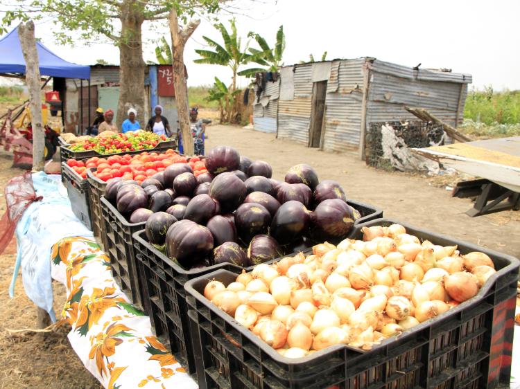 Campanha agrícola bloqueia nos 2,5 milhões de toneladas e atinge apenas 30% da meta  