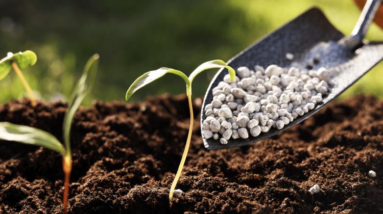 Fertilizantes sobem 45% e agravam pressão sobre agricultura