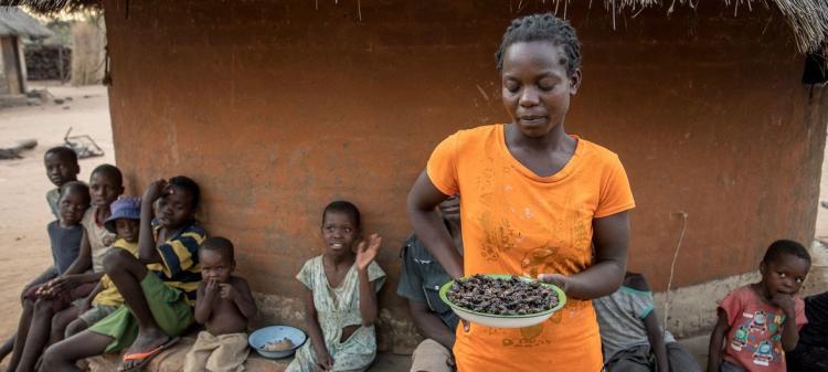 Guerra no Médio Oriente coloca segurança alimentar em África sob ameaça