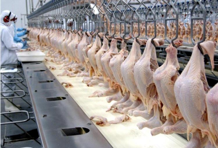 Mais de 316 milhões  USD a comprar  frango, medicamentos, trigo e arroz como matéria-prima