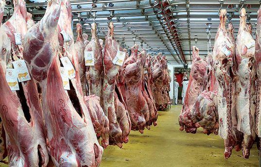 Criadores de gado apoiam quotas à importação de carne, mas alertam para falta de matadouros 