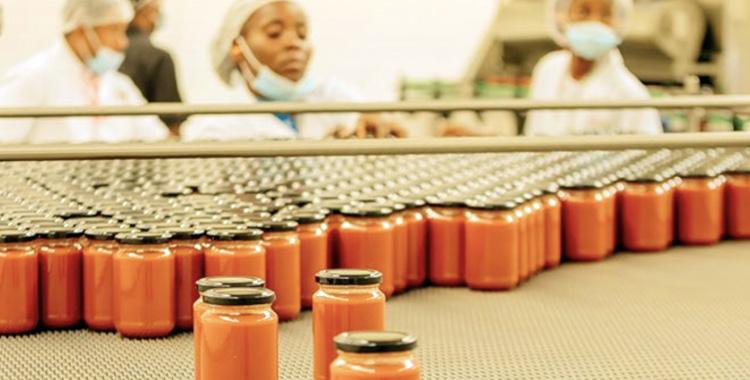 Fábrica de massa de tomate inaugurada em Fevereiro à espera de matéria-prima para arrancar