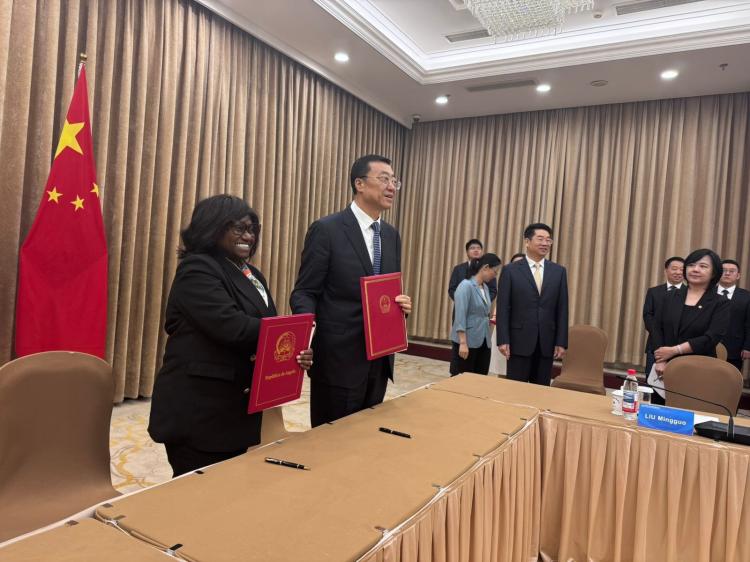 Angola recorre a Pequim para acelerar repovoamento de carapau na costa nacional 