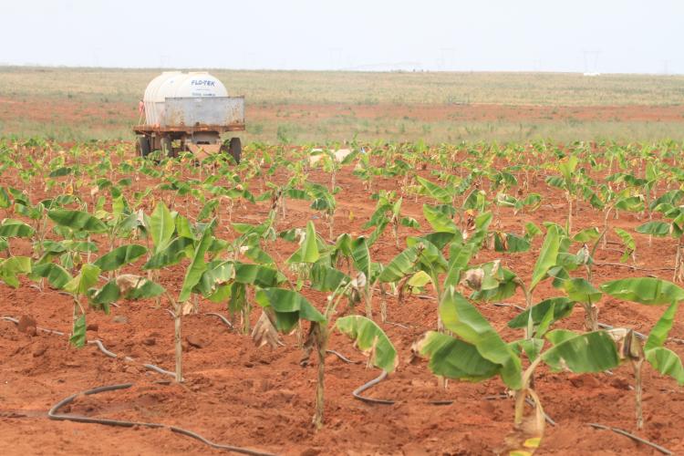 Pólo da Quiminha, um dos maiores do país, fica sob gestão da Omatapalo até 2035 