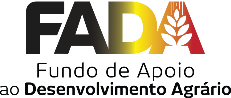 Directora de Comunicação do FADA confirmou que ex-PCA, Felisberta Escórcio, mantém controlo da instituição 