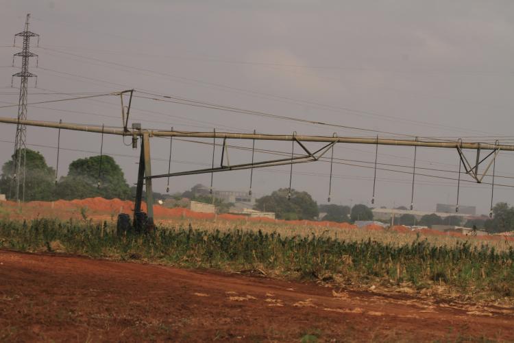 Pólo da Quiminha, um dos maiores do país, fica sob gestão da Omatapalo até 2035 