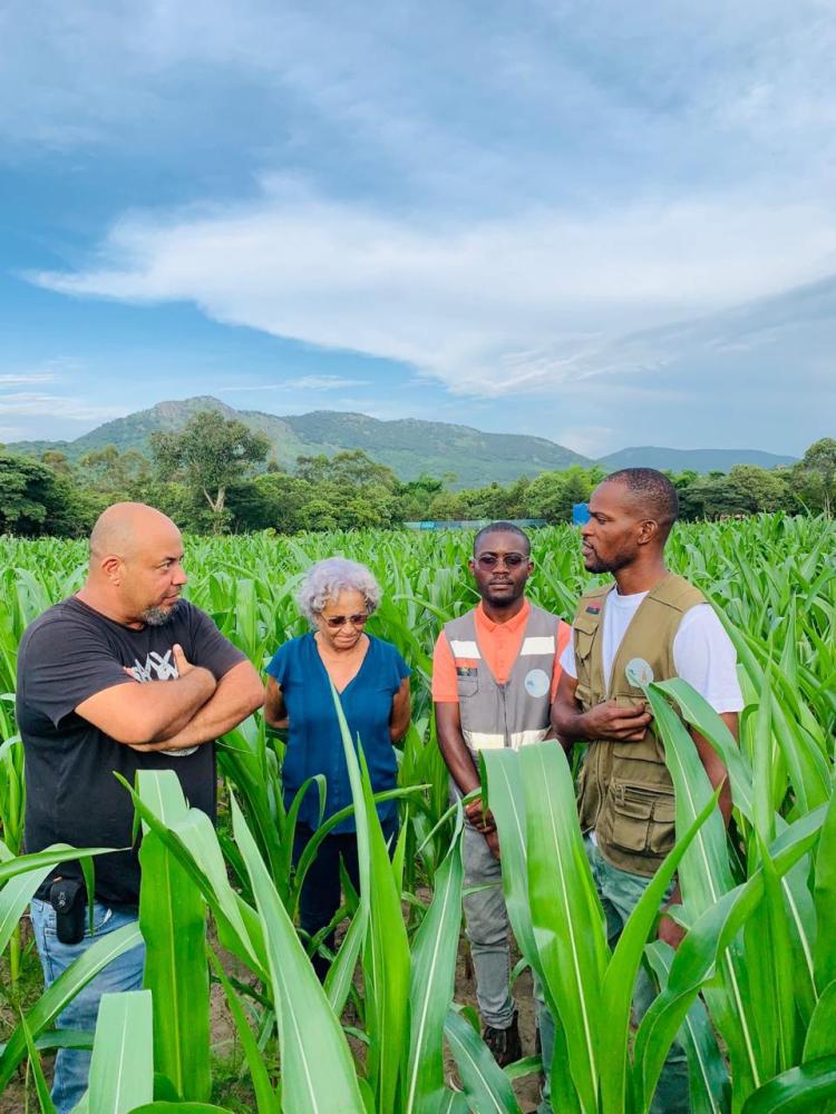 Estradas degradadas e escassez de insumos ‘asfixiam’ produção agrícola no Cuanza Sul 