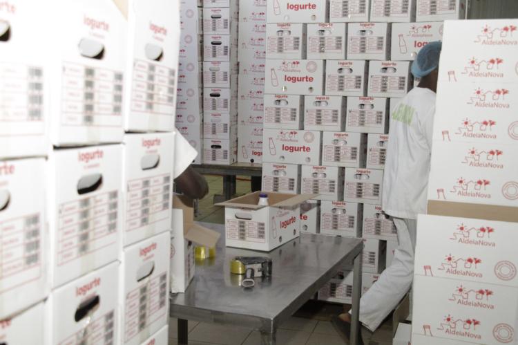 Com metade das fábricas paradas, Aldeia Nova precisa de 7 milhões de dólares para travar colapso Com metade das fábricas paradas, Aldeia Nova precisa de 7 milhões de dólares para travar colapso