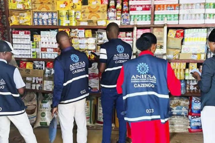 Acúmulo de funções na ANIESA pode comprometer defesa do consumidor, alertam especialistas 