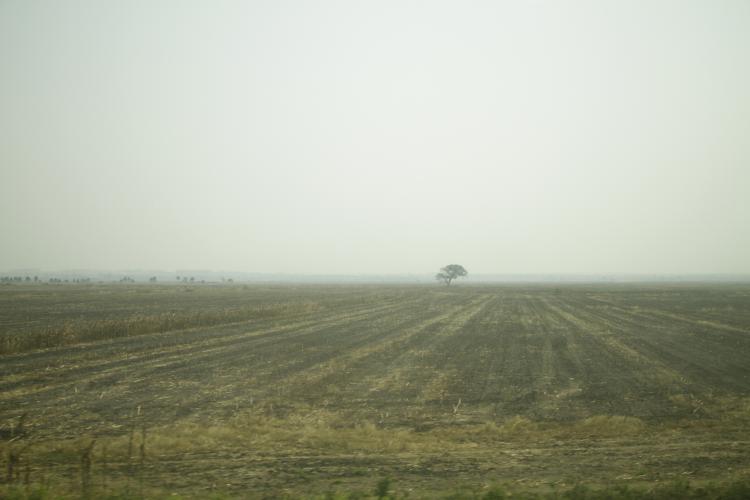Estradas degradadas e escassez de insumos ‘asfixiam’ produção agrícola no Cuanza Sul 