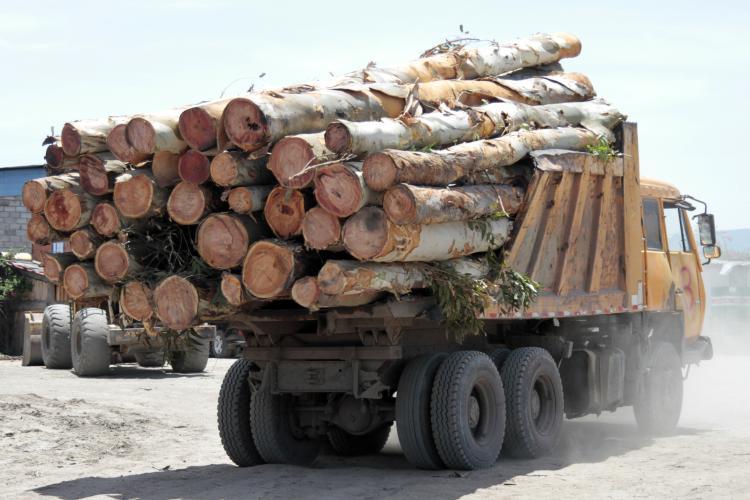 Lucros da MADANG despencam 80% em 2025 e agravam ‘saúde’ financeira da empresa 