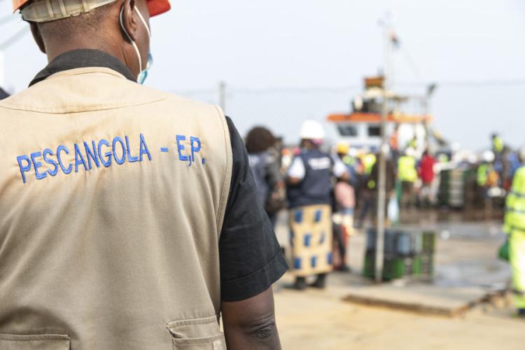 Pescangola reduz prejuízos em 2025, mas volta a fechar ano no vermelho 