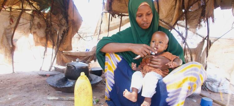  Seca e conflitos deixam 6,5 milhões de somalis em insegurança alimentar