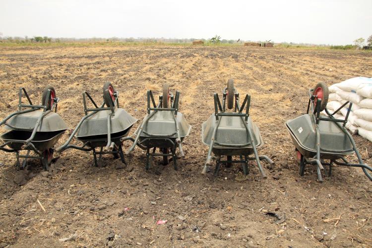 Agricultura angolana afunda em défice de produtividade, financiamento e infra-estruturas