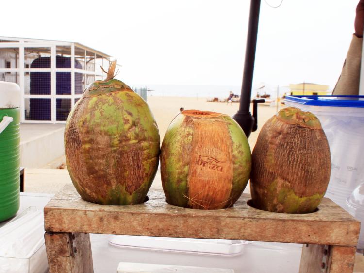 Comerciantes de água  de coco facturam até 1 milhão de kwanzas