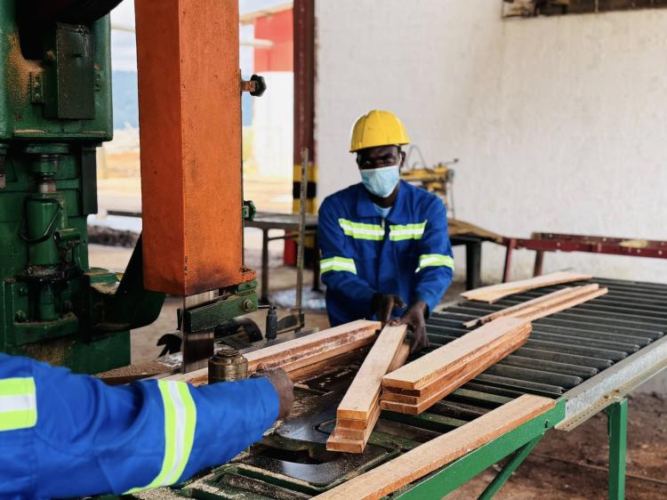 Governo volta a prorrogar campanha florestal até Dezembro